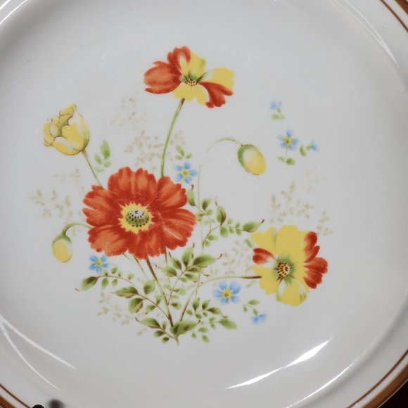 Caroline Dinner Plate by Colonial Stoneware - Hard to Find - Picture 4 of 5